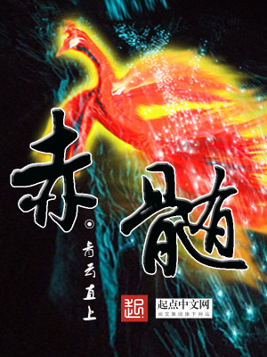 Bìa truyện Xích Tủy (赤髓)