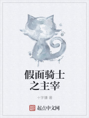 Bìa truyện Giả Diện Kỵ Sĩ Chi Chủ Tể (假面骑士之主宰)