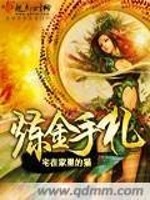 Bìa truyện Luyện Kim Thủ Trát (炼金手札)
