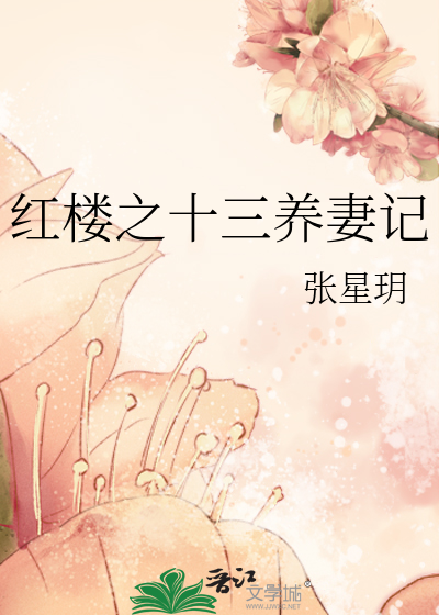 Bìa truyện Hồng Lâu Chi Thập Tam Dưỡng Thê Kí (红楼之十三养妻记)