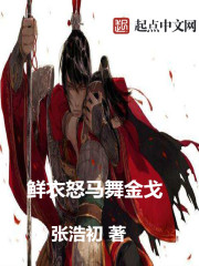Bìa truyện Kim Qua Kỉ (金戈纪)