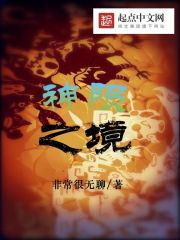 Bìa truyện Thần Vẫn Chi Cảnh (神陨之境)