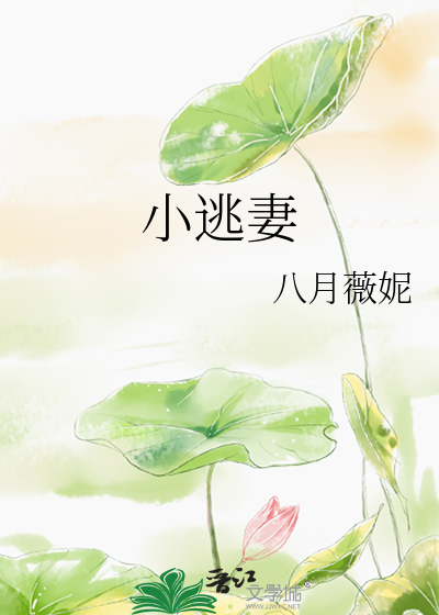 Bìa truyện Tiểu Đào Thê (小逃妻)