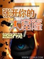 Bìa truyện Trương Khai Đại Quật Lung (张开大窟窿)