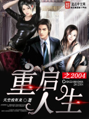 Bìa truyện Trọng Khải Nhân Sinh Chi 2004 (重启人生之2004)