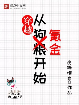 Bìa truyện Xuyên Việt Tòng Khắc Kim Khai Thủy (穿越从氪金开始)