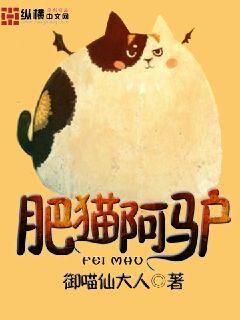 Bìa truyện Phì Miêu A Lư (肥猫阿驴)