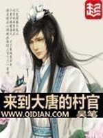 Bìa truyện Lai Đáo Đại Đường Đích Thôn Quan (来到大唐的村官)
