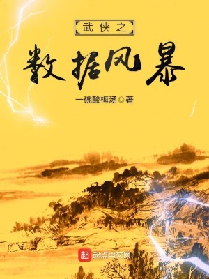Bìa truyện Vũ Hiệp Chi Sổ Cư Phong Bạo (武侠之数据风暴)
