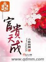Bìa truyện Phú Quý Thiên Thành (富贵天成)