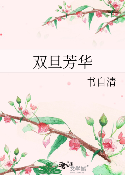 Bìa truyện Song Đán Phương Hoa (双旦芳华)