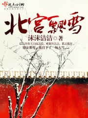 Bìa truyện Bắc Cung Phiêu Tuyết (北宫飘雪)