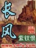Bìa truyện Trường Phong (长风)