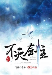 Bìa truyện Bất Diệt Kiếm Chủ (不灭剑主)