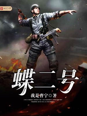 Bìa truyện Điệp Nhị Hào (蝶二号)