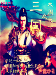 Bìa truyện Tam Quốc Chi Đại Chu Thiên Hạ (三国之大周天下)