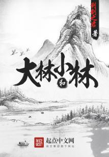 Bìa truyện Đại Lâm Hòa Tiểu Lâm (大林和小林)