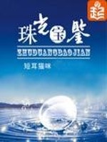 Bìa truyện Châu Quang Bảo Giám (珠光宝鉴)