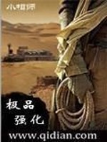 Bìa truyện Cực Phẩm Cường Hóa (极品强化)