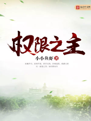 Bìa truyện Quyền Hạn Chi Chủ (权限之主)