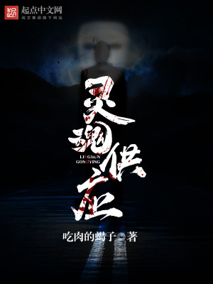 Bìa truyện Linh Hồn Cung Ứng (灵魂供应)