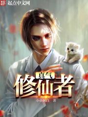 Bìa truyện Chân Khí Tu Tiên Giả (真气修仙者)