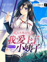 Bìa truyện Hữu Vị Hôn Thê Đích Ngã Ái Thượng Liễu Tiểu Di Tử (有未婚妻的我爱上了小姨子)