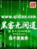 Bìa truyện Hắc Khách Vô Gian Đạo (黑客无间道)