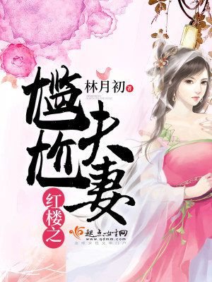 Bìa truyện Hồng Lâu Chi Giám Giới Phu Thê (红楼之尴尬夫妻)