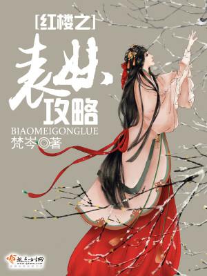 Bìa truyện Hồng Lâu Chi Biểu Muội Công Lược (红楼之表妹攻略)
