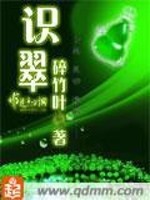 Bìa truyện Thức Thúy (识翠)