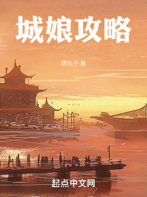 Bìa truyện Thành Nương Công Lược (城娘攻略)