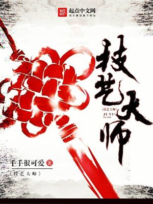 Bìa truyện Kĩ Nghệ Đại Sư (技艺大师)