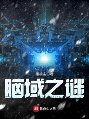 Bìa truyện Não Vực Chi Mê (脑域之谜)