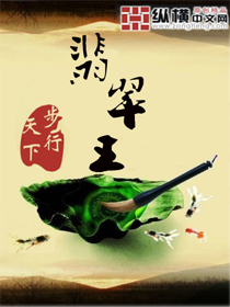 Bìa truyện Phỉ Thúy Vương (翡翠王)