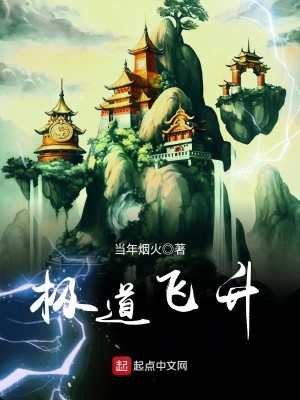 Bìa truyện Cực Đạo Phi Thăng (极道飞升)