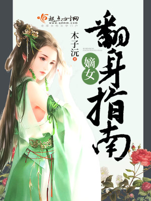 Bìa truyện Đích Nữ Phiên Thân Chỉ Nam (嫡女翻身指南)