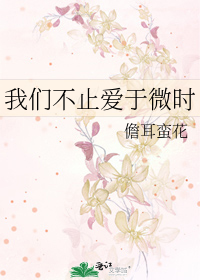 Bìa truyện Ngã Môn Bất Chỉ Ái Vu Vi Thời (我们不止爱于微时)