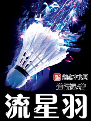Bìa truyện Lưu Tinh Vũ (流星羽)