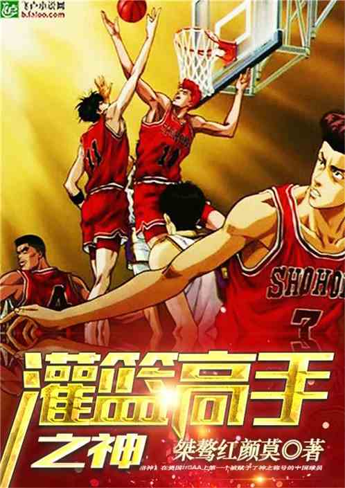 Bìa truyện Quán Lam Cao Thủ Chi Thần (灌篮高手之神)