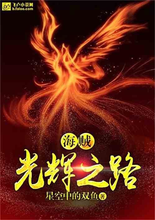Bìa truyện Hải Tặc Quang Huy Chi Lộ (海贼：光辉之路)