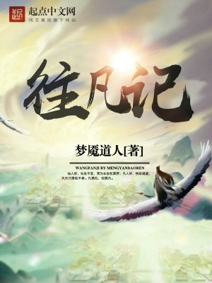 Bìa truyện Vãng Phàm Kí (往凡记)