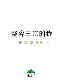 Bìa truyện Chỉnh Dung Tam Thứ Đích Ngã (整容三次的我)