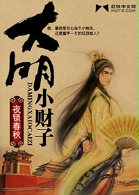 Bìa truyện Đại Minh Tiểu Tài Tử (大明小财子)