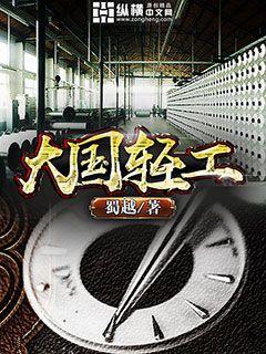 Bìa truyện Đại Quốc Khinh Công (大国轻工)