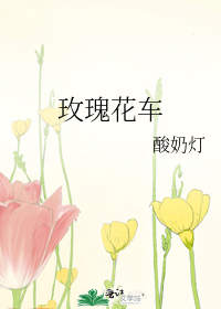 Bìa truyện Mai Khôi Hoa Xa (玫瑰花车)