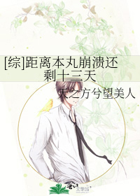 Bìa truyện Tống Cự Li Bổn Hoàn Băng Hội Hoàn Thặng Thập Tam Thiên ([综]距离本丸崩溃还剩十三天)
