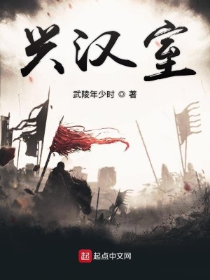 Bìa truyện Hưng Hán Thất (兴汉室)