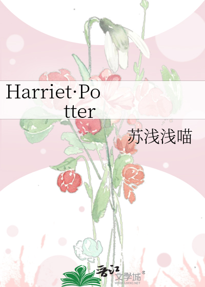Bìa truyện Harriet Potter (Harriet·Potter)
