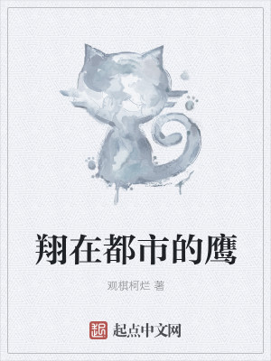 Bìa truyện Tường Tại Đô Thị Đích Ưng (翔在都市的鹰)